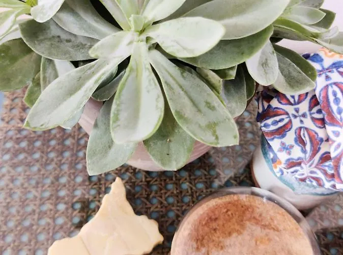 Bed & Breakfast Calamurn Ortigia